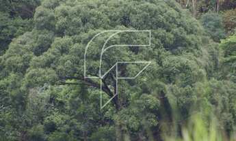 Imagem 5: Chácara a venda com 300 mil M² ou 12 Alqueires com córrego dentro da propriedade em Bueno