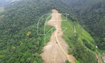 Imagem 4: Área da venda com 45.850.70 mil metros², propriedade em Buenos Aires em meio a Mata Atlânt