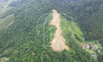 Imagem 3: Área da venda com 45.850.70 mil metros², propriedade em Buenos Aires em meio a Mata Atlânt