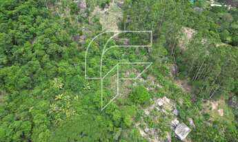 Imagem 5: Chácara a venda com 26.400 mil metros com muita agua dentro da propriedade em Buenos Aire