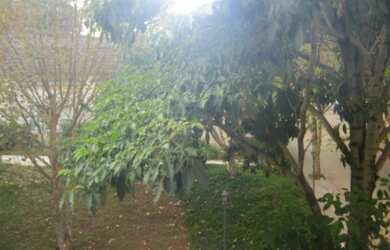 Imagem 3: Casa em condomínio - Cidade Jardim, próximo ao Clube Paineiras do Morumbi, Casa foi REFORM