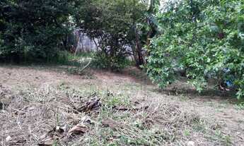 Imagem 6: Imperdível Casa Comercial ou Residencial à Venda em Cotia-SP, Parque Bahia: 2 Quartos, 2 S