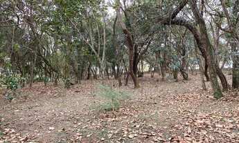 Imagem 2: Terreno em Condomínio de Luxo na Vila de São Fernando - 1.575m² de Pura Elegância em Cotia