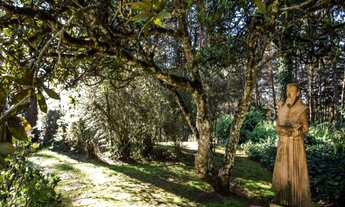 Imagem 6: Luxuosa mansão à venda em Campos do Jordão-SP, no exclusivo bairro Toriba, com 6 quartos