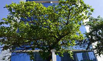 Imagem: Conjunto Comercial Premium no Brooklin