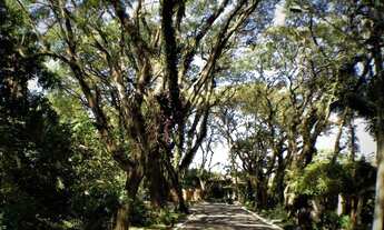 Imagem 3: Imóvel de luxo à venda em condomínio na Vila Vianna, Cotia-SP: 3 quartos, 3 suítes, 5 sala