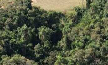 Imagem 4: Terreno à venda no Condomínio Quinta dos Lagos em Cotia-SP: Com 522,67m², localização priv