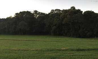 Imagem 5: Terreno à venda Condomínio Quinta da Baroneza, Bragança Paulista, toda infra estrutura, 3