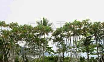 Imagem 7: CASA PRAIA DURA, Ubatuba, 6 suítes, 3 vagas cobertas, 8 descoberta e 1 vaga para barco, Po