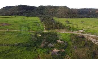 Imagem: Fazenda à venda em Campos Lindos-TO 6.706