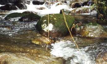 Imagem 3: Sítio belíssimo á venda em Ubatuba. Corcovado. Localizado a 3.9 km da rodovia
