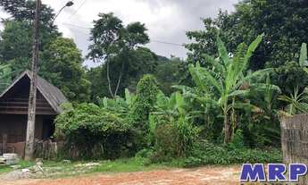Imagem: Chacará em Ubatuba, com natureza exuberante