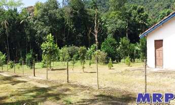 Imagem 7: Sítio em Ubatuba, próximo ao centro da cidade. Bairro Marafunda