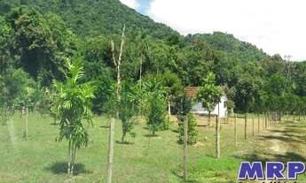 Imagem 2: Sítio em Ubatuba, próximo ao centro da cidade. Bairro Marafunda