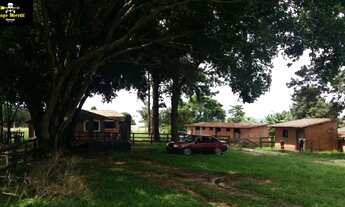 Imagem 2: HARAS SÃO GABRIEL -IPERÓ SP