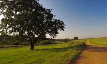 Imagem 5: HARAS À VENDA 107 ALQUEIRES POR R$ 70.000.000,00 - TATUÍ/SP