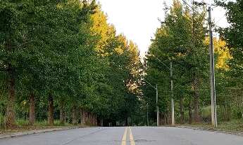 Imagem: Terreno a venda com 1.000² no condomínio