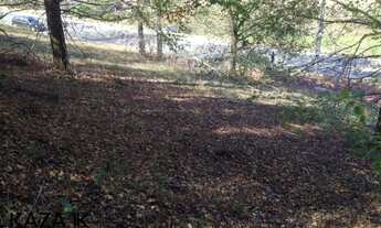 Imagem 5: Terreno de 1.004m2, aclive, localizado no condomínio fechado Terras de Caxambu, Fase 1,um