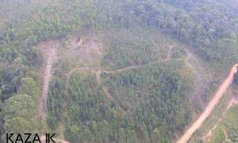 Imagem: TERRENO À VENDA EM JARINU