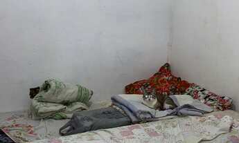 Imagem 6: CASA RESIDENCIAL em SÃO PAULO - SP, VILA GUILHERMINA