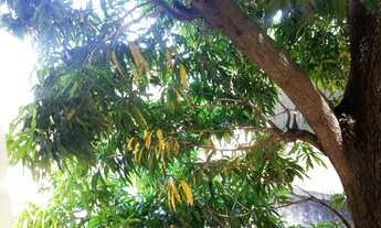 Imagem 5: APARTAMENTO RESIDENCIAL em DUQUE DE CAXIAS - RJ, VILA CENTENÁRIO