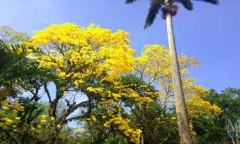 Imagem: CASA RESIDENCIAL em RIO DE JANEIRO - RJ