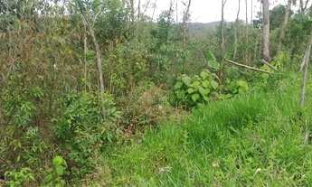 Imagem 5: TERRENO para VENDA JARDIM CEREJEIRAS COTIA