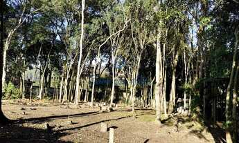 Imagem: TERRENO PARA VENDA, CHÁCARAS EMBU COLONIAL