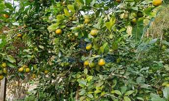 Imagem 6: CHÁCARA RESIDENCIAL em JUQUITIBA - SP, Sitio Aristeu