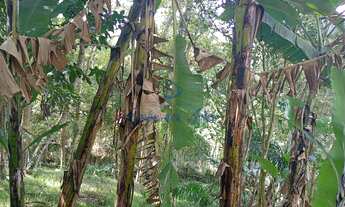 Imagem 5: TERRENO PARA VENDA COND EMBU COLONIAL