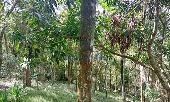 Imagem 6: TERRENO PARA VENDA COND EMBU COLONIAL