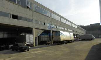 Imagem 2: GALPÃO INDUSTRIAL/COMERCIAL em SÃO PAULO - SP, PARQUE SÃO DOMINGOS