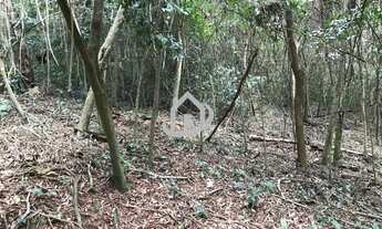 Imagem 2: TERRENO EM CONDOMÍNIO, CHÁCARAS EMBU COLONIAL, EMBU DAS ARTES-SP