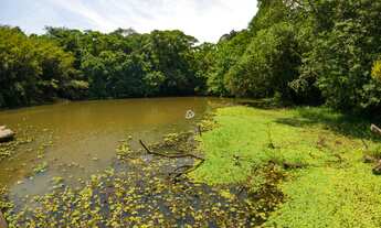 Imagem 5: TERRENO EM CONDOMÍNIO, CHÁCARAS EMBU COLONIAL, EMBU DAS ARTES-SP