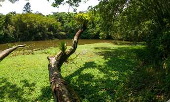 Imagem 3: TERRENO EM CONDOMÍNIO, CHÁCARAS EMBU COLONIAL, EMBU DAS ARTES-SP