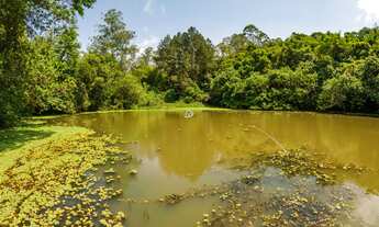 Imagem 6: TERRENO EM CONDOMÍNIO, CHÁCARAS EMBU COLONIAL, EMBU DAS ARTES-SP