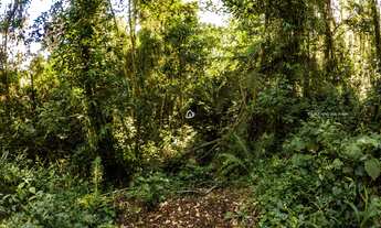 Imagem 2: Terreno no melhor condomínio da região com 2.879,00 m²