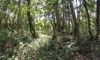 Imagem 4: TERRENO COM ÓTIMA LOCALIZAÇÃO ESTRADA DO CAPUAVA