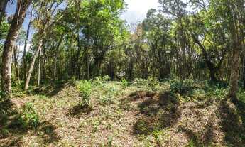 Imagem 5: CASA NA PLANTA EM CONDOMÍNIO DE CHÁCARAS! - CASA 8