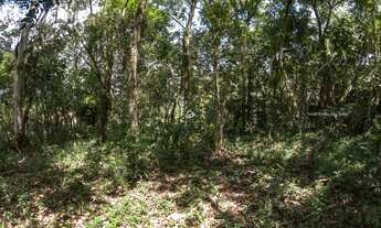 Imagem 3: TERRENO COM ÓTIMA LOCALIZAÇÃO ESTRADA DO CAPUAVA