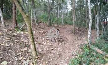 Imagem 5: ÁREA PARA VENDA, CHÁCARAS BARTIRA, EMBU DAS ARTES-SP