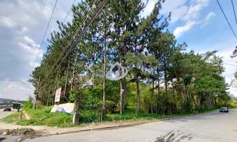 Imagem 2: ÁREA PARA VENDA, EMBU DAS ARTES-SP