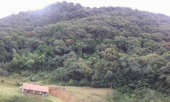 Imagem 5: LINDA CHÁCARA EM MASSARANDUBA | 112.719,11 M²