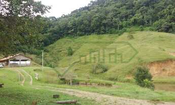 Imagem 7: LINDA CHÁCARA EM MASSARANDUBA | 112.719,11 M²