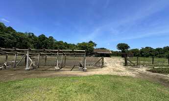 Imagem 5: LINDA CHÁCARA EM SÃO FRANCISCO DO SUL | REGIÃO DA RIBEIRA