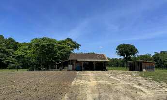 Imagem 6: LINDA CHÁCARA EM SÃO FRANCISCO DO SUL | REGIÃO DA RIBEIRA