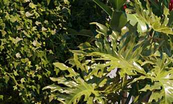 Imagem 6: APARTAMENTO NO AMÉRICA COM 01 SUÍTE + 02 DORMITÓRIOS | SENSE