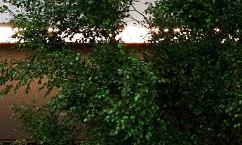 Imagem 5: VIPLAN ART | BAIRRO AMÉRICA