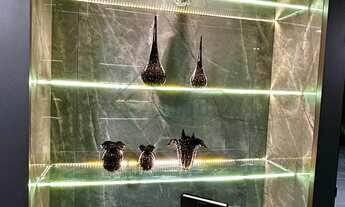 Imagem 7: APARTAMENTO NO AMÉRICA | 113 M² | 03 SUÍTES