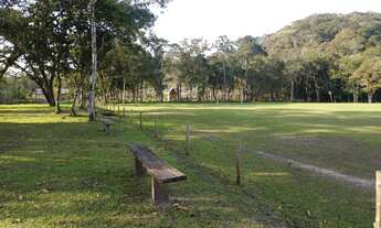 Imagem 3: LINDO TERRENO PARA CHÁCARA | 3.000 M²